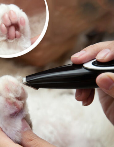 Electric Pet Hair Clipper and Trimmer Pet Grooming Tool- USB Charging_4