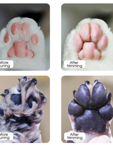 Electric Pet Hair Clipper and Trimmer Pet Grooming Tool- USB Charging_9