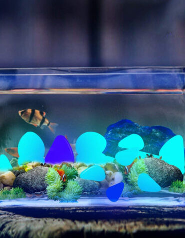 Solar Powered Glow in the Dark Garden Pebbles Garden Décor_5