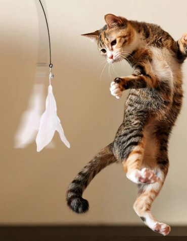 Long Suction Cup Pole Interactive Bell and Feather Wand Cat Teaser Toy_5